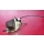 Wahlhebelmodul Schalthebel Automatik Mercedes W211 W219 2112674424 2112670200