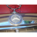 Kühlergrill mit Stern Mercedes W124 Limo Coupe Cabro Kombi 1985-1993 1248800783