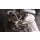 Motor M104 992 104992 E 320 CE TE Cabrio Coupe Limousine Kombi Mercedes W124