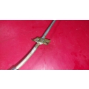 Rohr Rohrleitung für Bowdenzug Schiebedach Mercedes W126 SE ab 1985 1267800977