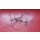 Unterdruckleitungen Vakuumleitungen Motor Mercedes R107 W126 R129 260 300 M103