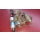 Benzinpumpe Kraftstoffpumpe Halter Mercedes W126 1979 - 1985 0020919701