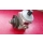 Servopumpe Lenkhelfpumpe Mercedes W126 R107 W123 W116 1264601380 1264601580