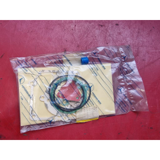 Dichtungssatz Vergaser ORIGINAL Mercedes W115 W123 200 230.4 0015861107