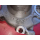 Gehäuse Wasserpumpe Mercedes W114 W116 R107 W123 W126 250 280 1102010701