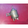 Ventil Schubabschaltung Unterdruck Mercedes W100 W108 W123 W126 R107 0015401497