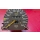 Tacho Tachometer K 935 Mercedes W124 200 220 260 280 300 1245426869 1245426669